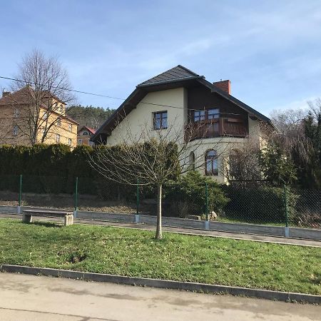 Česká KameniceDum U Koupaliste别墅 外观 照片